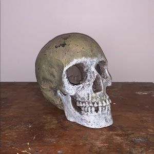 skeleton head